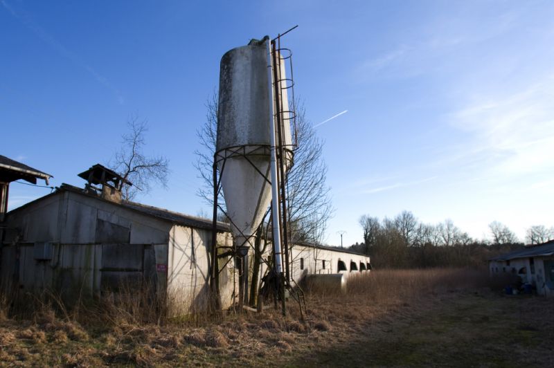 Western